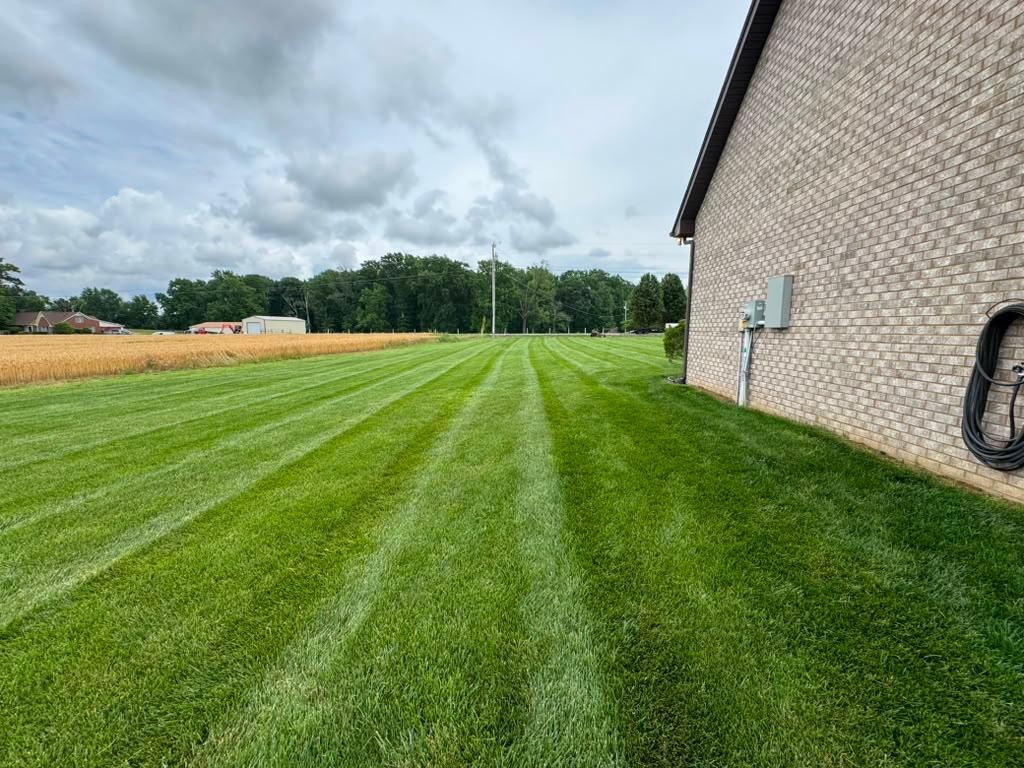 Freshly mowed lawn with clean edging